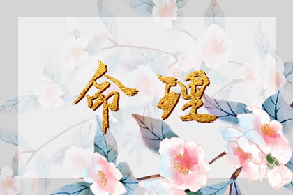 黄历查询|黄历吉日查询|2025年老黄历